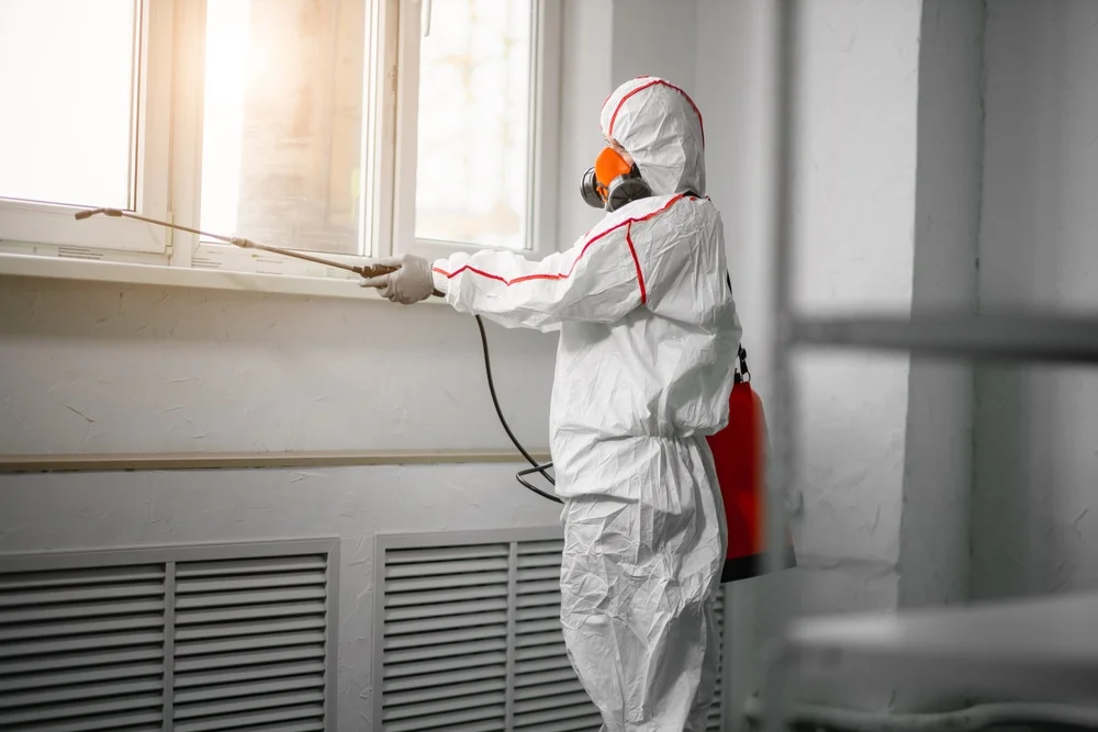 Professional mold remediation services in Epsom, NH